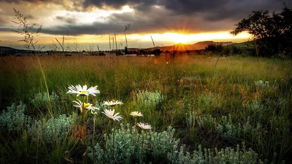 Wetlands Country House & Sheds Wakkerstroom ภายนอก รูปภาพ