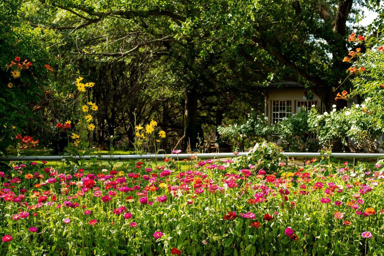 Wetlands Country House & Sheds Wakkerstroom ภายนอก รูปภาพ