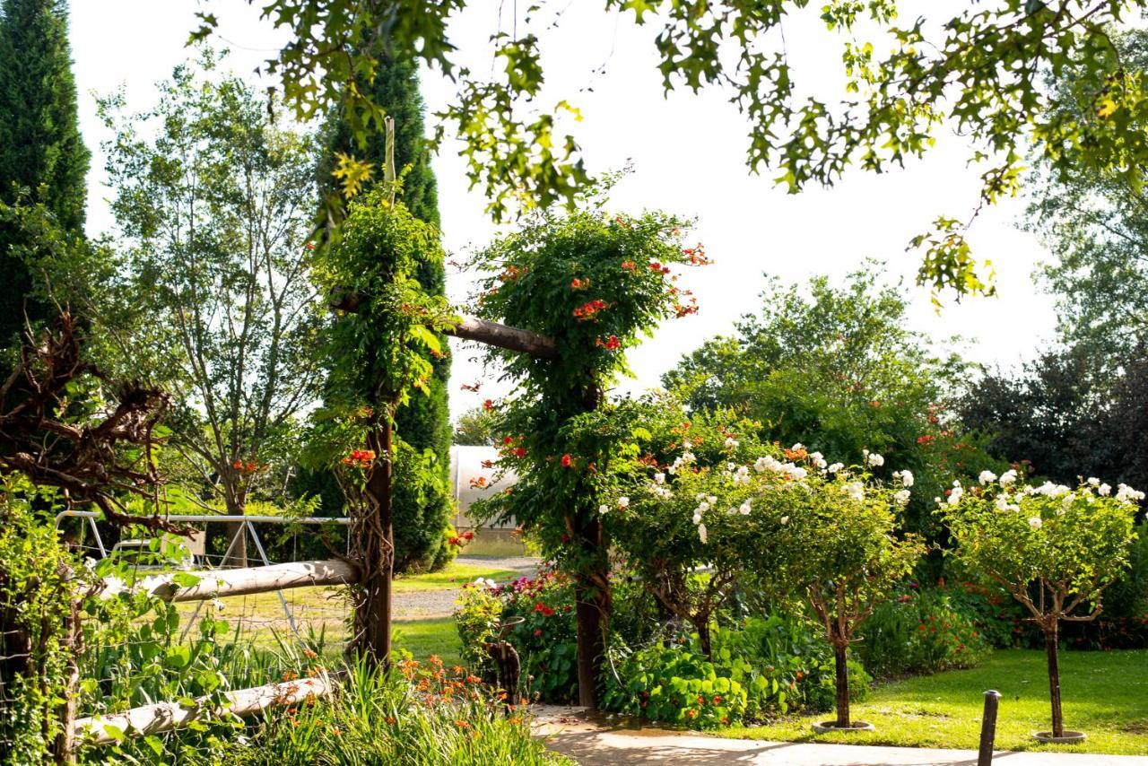 Wetlands Country House & Sheds Wakkerstroom ภายนอก รูปภาพ